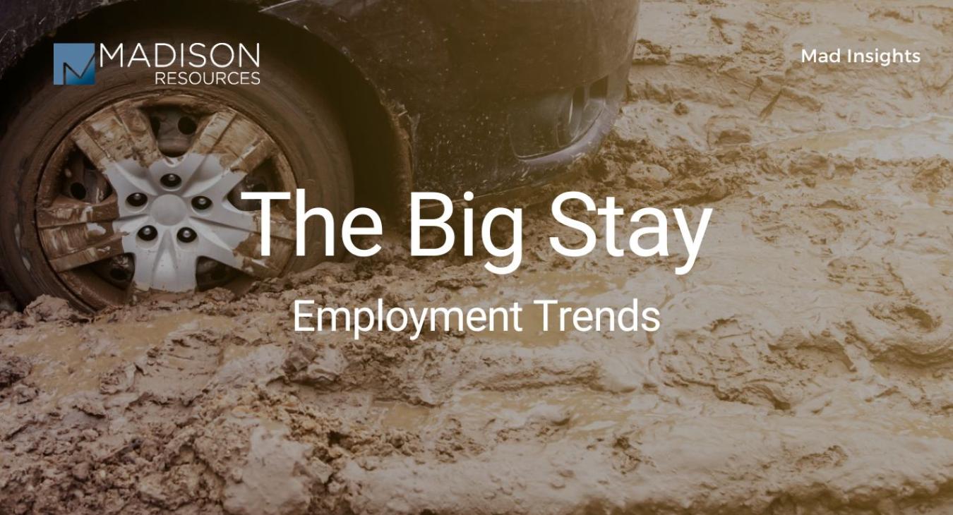 The Big Stay: Employment trends, people staying at their jobs when they don't have to 