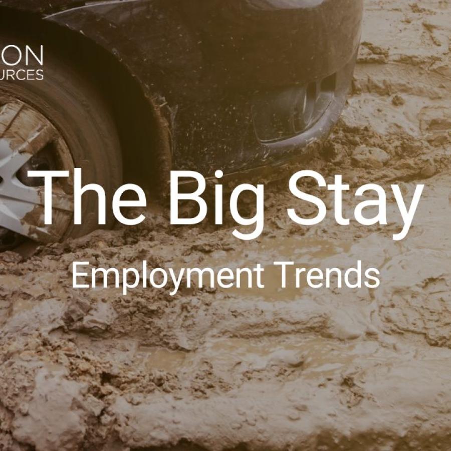 The Big Stay: Employment trends, people staying at their jobs when they don't have to 
